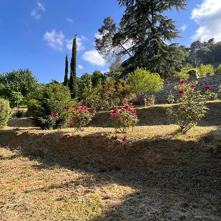 Borgo Al Canto Degli Alberi Lucca Exteriör bild
