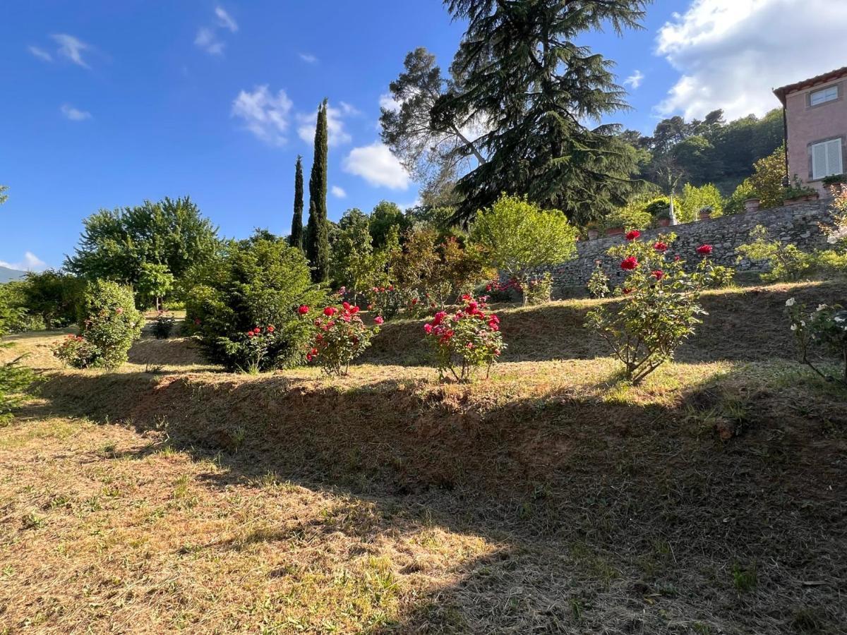 Borgo Al Canto Degli Alberi Lucca Exteriör bild