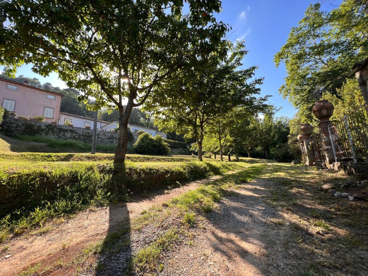 Borgo Al Canto Degli Alberi Lucca Exteriör bild