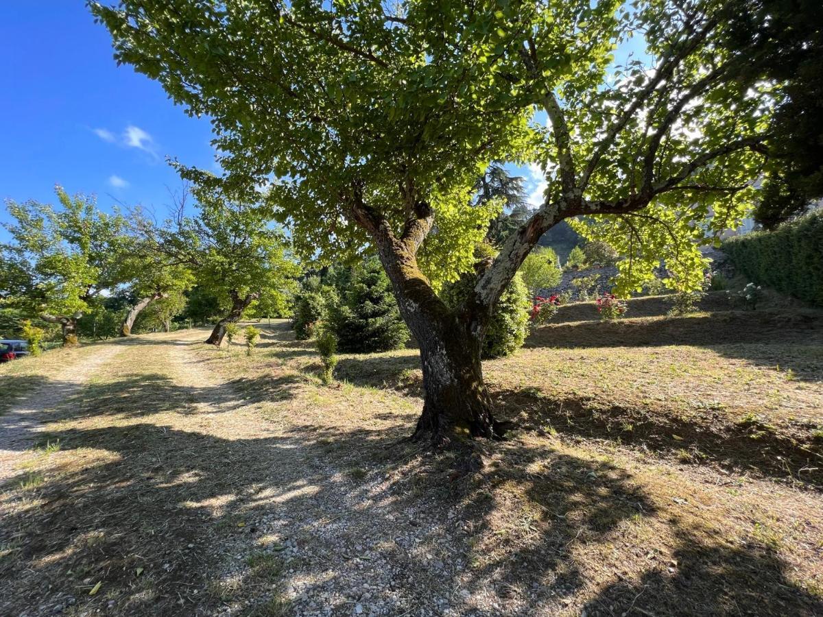 Borgo Al Canto Degli Alberi Lucca Exteriör bild