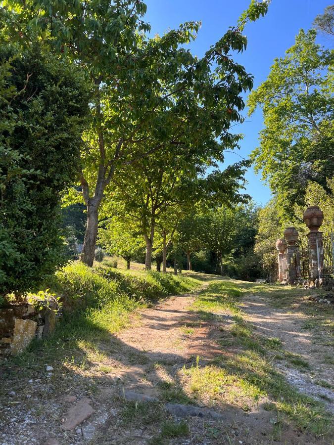 Borgo Al Canto Degli Alberi Lucca Exteriör bild